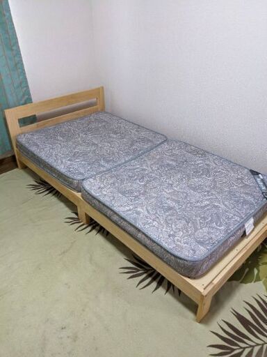 シングルベット