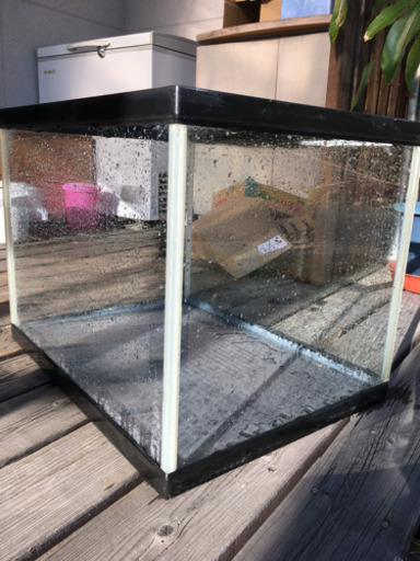大型水槽ガラス⁈水槽
