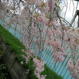 久喜工業高校　男子制服