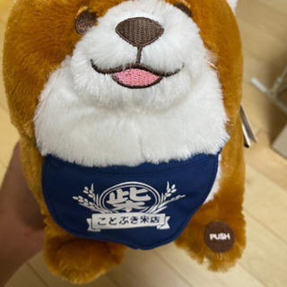忠犬もちしばぬいぐるみうります。