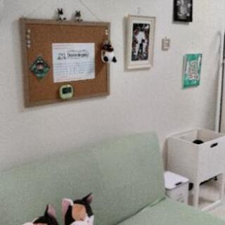 リラクゼーションサロン【Mano de gato】です。 - ボディケア