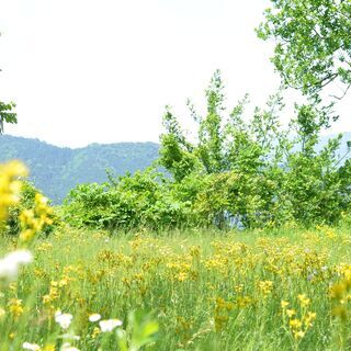 ４月１０日（土）余呉湖畔　イベントボランティアスタッフ募集