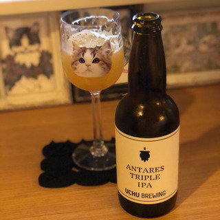 【4/10  17時～】京王線の聖蹟近辺で飲める方