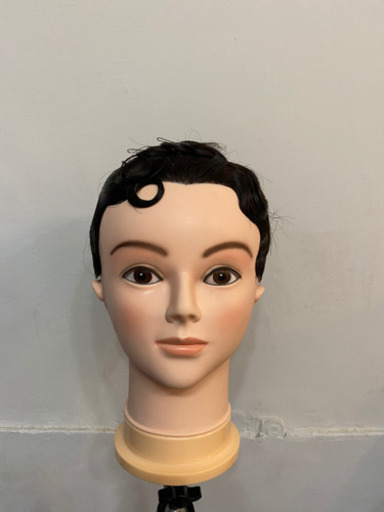 美容師ウィッグ オールウェーブ用 オールウェーブ ウィッグ 美容師国家