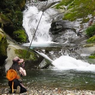 初心者の方で岩魚/山女魚釣りに興味のある方へ。竿も持った事の無い方でも未経験の方で2名までの限定です。 - 富山市