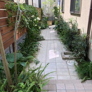 植木の剪定や刈込、草刈り、伐採などお庭のお手入れ承ります！ − 神奈川県