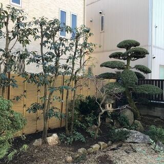 植木の剪定や刈込、草刈り、伐採などお庭のお手入れ承ります！ - 地元のお店