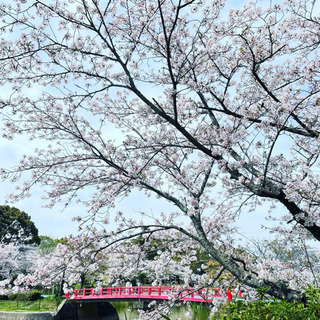 気軽にお話しできる方募集🍀