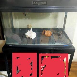 水槽　観賞魚用水槽 Newスティングレー　3シリーズ　R313　...
