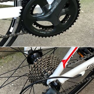 Wilier(ウィリエール) ロードバイク モンテグラッパ シマノ ティアグラ Sサイズ【税込み・PayPay使えます】の画像