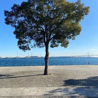 みなとみらいエリアを楽しく一緒に歩く『パーソナルウォーキングサー...