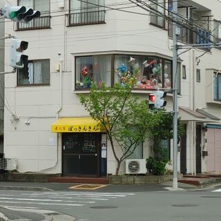 3月にオーブンしたてのお店ですの画像
