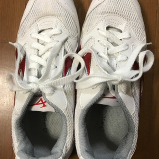 体育館シューズ  moonstar GYMSTAR  25cm