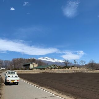 高原野菜のアルバイトの画像