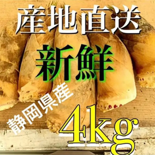 朝掘り！新鮮！ たけのこ 4kg  米ぬか付き♪ タケノコ　離島以外