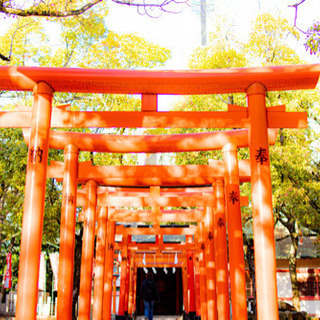 カメラや写真好きの友達募集！ - 友達