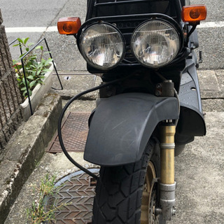 ズーマー　東京大田区矢口の画像