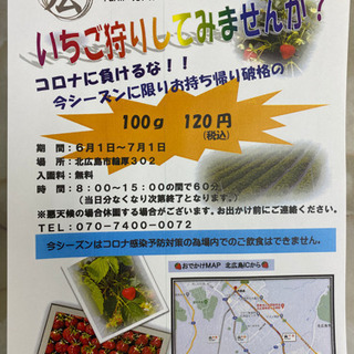 いちご狩り　入園無料！！マスク着用コロナ対策 − 北海道