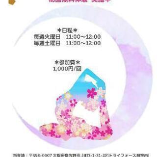 ✫初めてでもできるヨガ始めませんか？✫楽しくヨガをして日頃の疲れた身体や心を癒やしましょう♡の画像