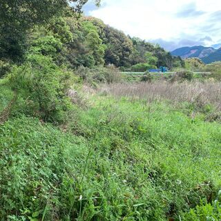 農地（水田）10円 　出水市武本　字　赤坂　2709−1他2筆