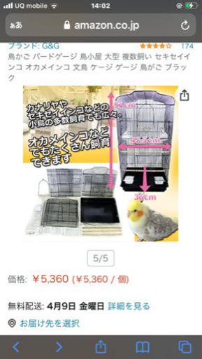 鳥籠