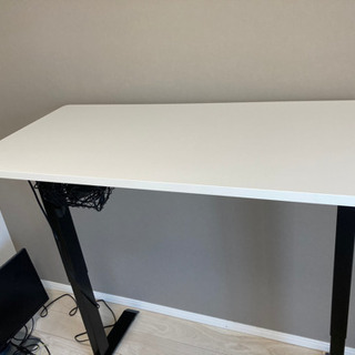 【値下げ】FLEXISPOT電動式デスクE1Eセット(120×60cm) 