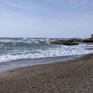 釣り初心者ですが釣りたい！