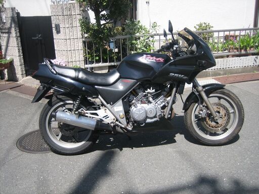 ゼルビス　２５０　エンジン好調　動画付