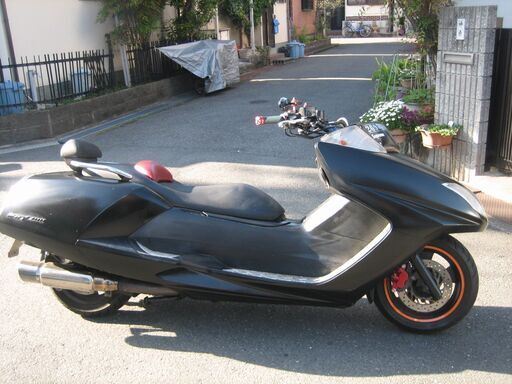 マグザム　２５０　美車　動画付