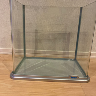 熱帯魚 水槽