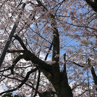 春の体作り応援キャンペーン✨ − 石川県