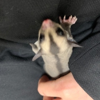 終わりました