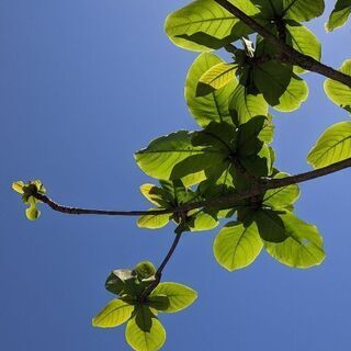 ✨【人気により追加募集】✨第4弾占いメンタルカウンセリング - 那覇市