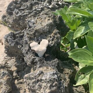 ✨【人気により追加募集】✨第4弾占いメンタルカウンセリング - その他