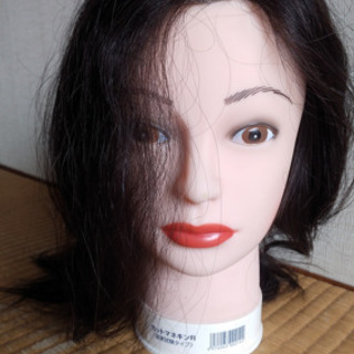 練習用❗️カットウィッグの画像