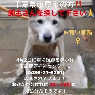 緊急!　拡散お願いします