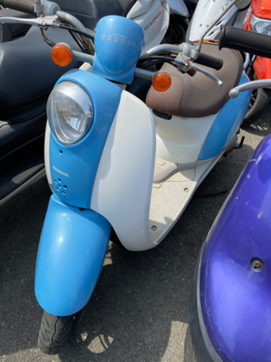HONDA スクーピー　実動確認OK福岡市南区