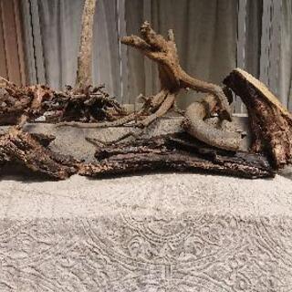 流木は、いかがでしょうか