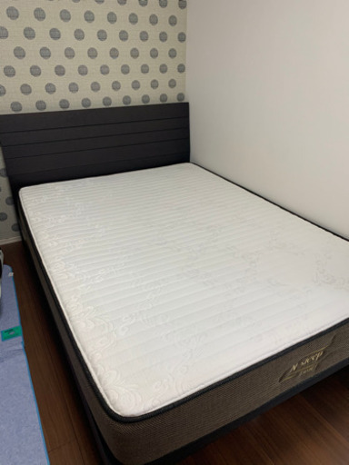 引き取り先決まりました