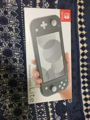 (再)本日限定 中古Nintendo Switch LITE GLAY