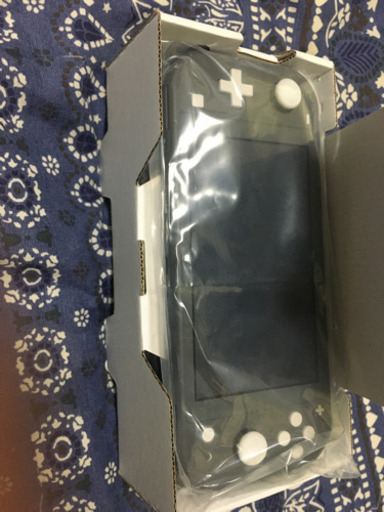 (再)本日限定 中古Nintendo Switch LITE GLAY