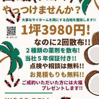 シロアリのご相談　受け付けています！！