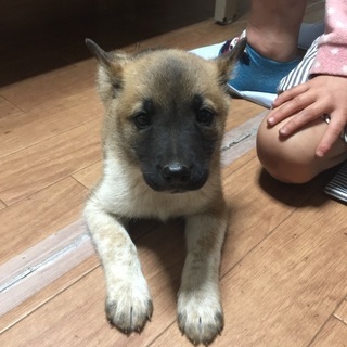受付終了お返事書けなくてごめんなさい。