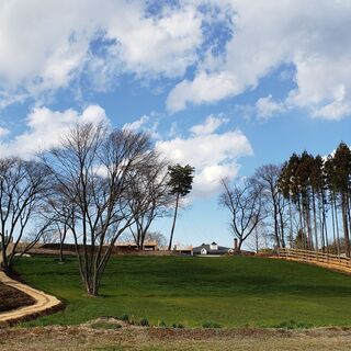 自然を愛し、人々に喜びと幸せを与える レストラン・カフェスタッフ募集！の画像
