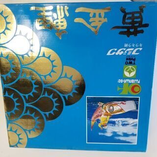 鯉のぼり(フジサワ黄金鯉)お庭設置タイプ