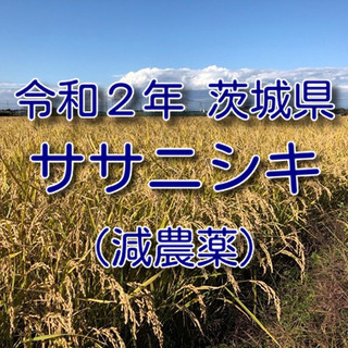 米 おこめ 白米 ササニシキ 9kg/18kg/27kg