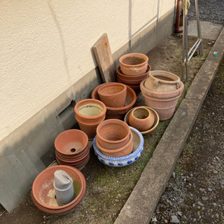 鉢