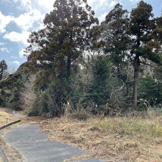 千葉県長生郡白子町＃48 0円物件 - 土地販売/土地売買
