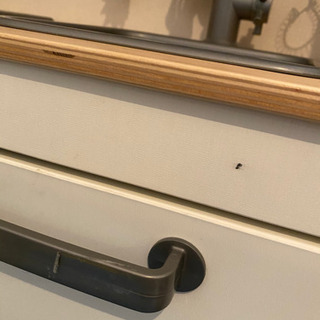 IKEAキッチンの画像