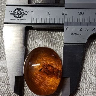 超レアな お宝 発見 天然 琥珀 虫入り アンバー リング 加工 ペンダント 加工 ブローチ 加工 承りますの画像